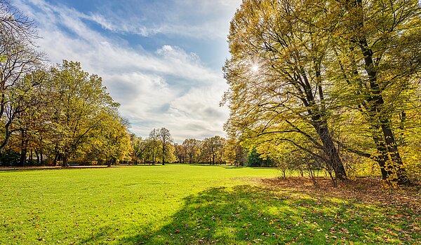 Apartment de 1 habitación | München-Milbertshofen | 70188 | Naherholung