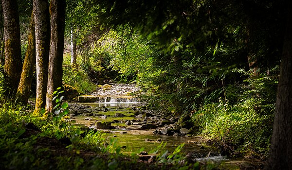 Piso en planta baja de 3 habitaciones | Bad Wiessee | 70053 | Zeiselbach