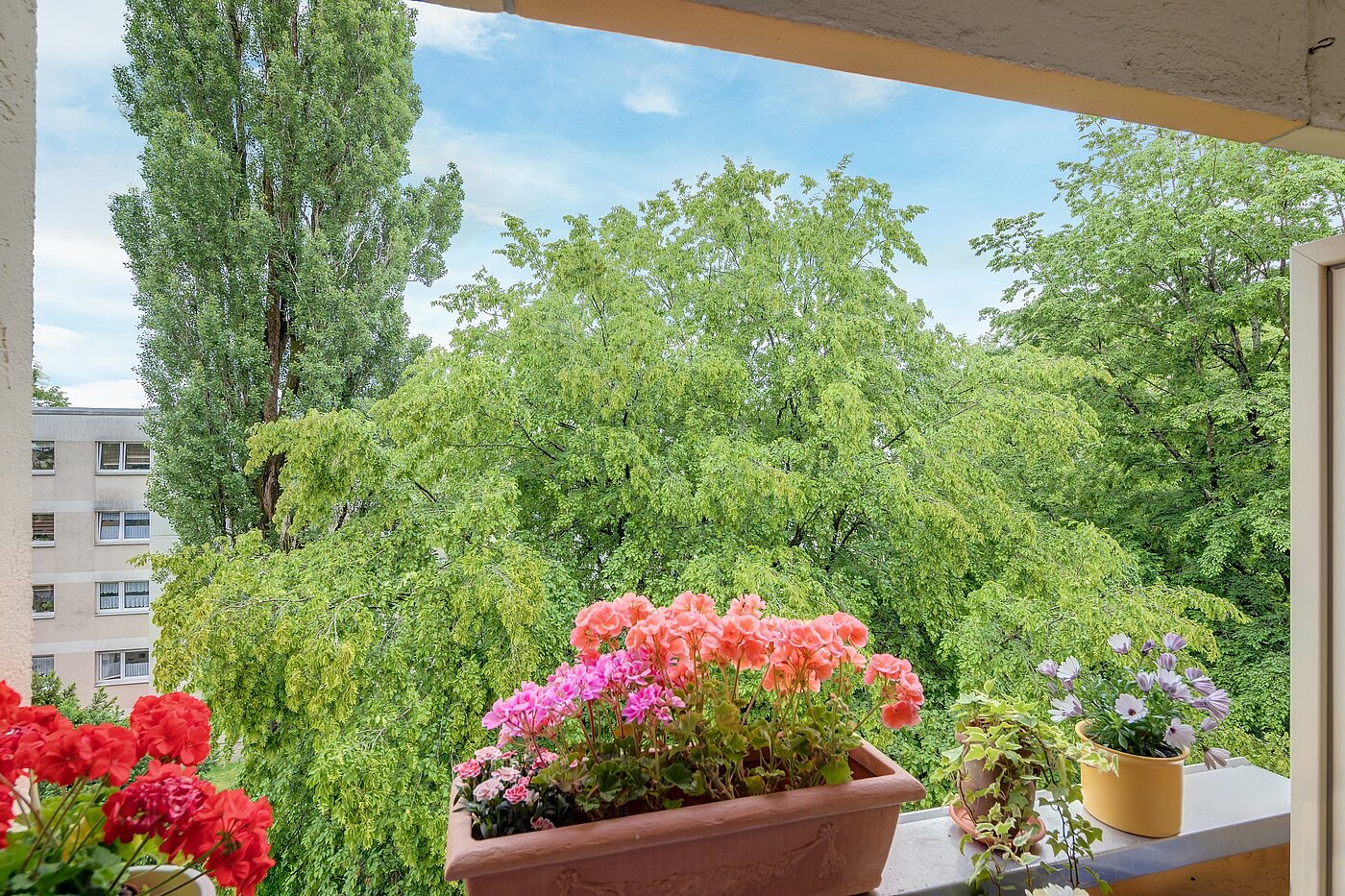 Apartamento de 1 habitación | München-Forstenried | 2106ML6 | ...mit Blick ins Grüne