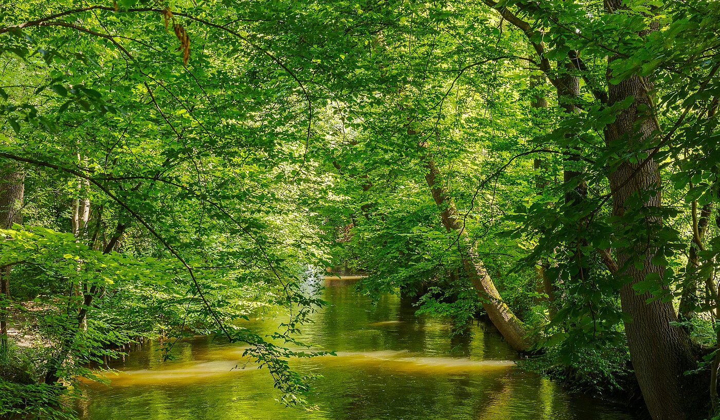 Apartamento de 2 habitaciones | München-Pasing | 2108ML1 | Naherholung im Stadtpark