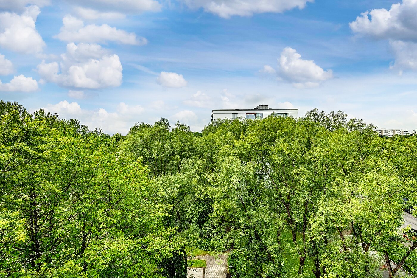 Apartamento de 2 habitaciones | München-Bogenhausen | 2206ML3 | Sommerimpressionen