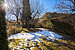 Adosado esquinero de 5.5 habitaciones | München-Trudering | 702531 | Eingewachsener Garten | Thumbnail
