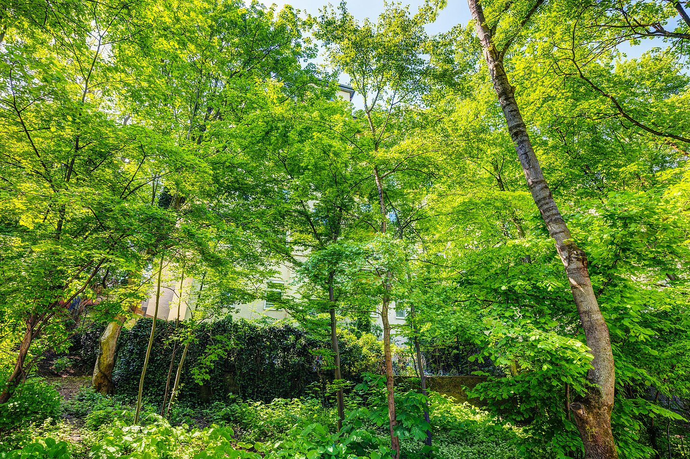 Apartamento de 2.5 habitaciones | München-Sendling | 70067 | ...versteckt hinter Bäumen