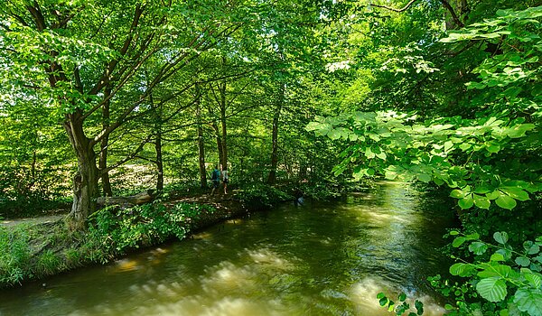 Casa adosada  de 6 habitaciones | München-Pasing | 2007ML5 | Die Würm um die Ecke