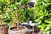 Piso en planta baja de 1 habitación | München-Haidhausen | 70228 | ...Südfrüchten und... | Thumbnail
