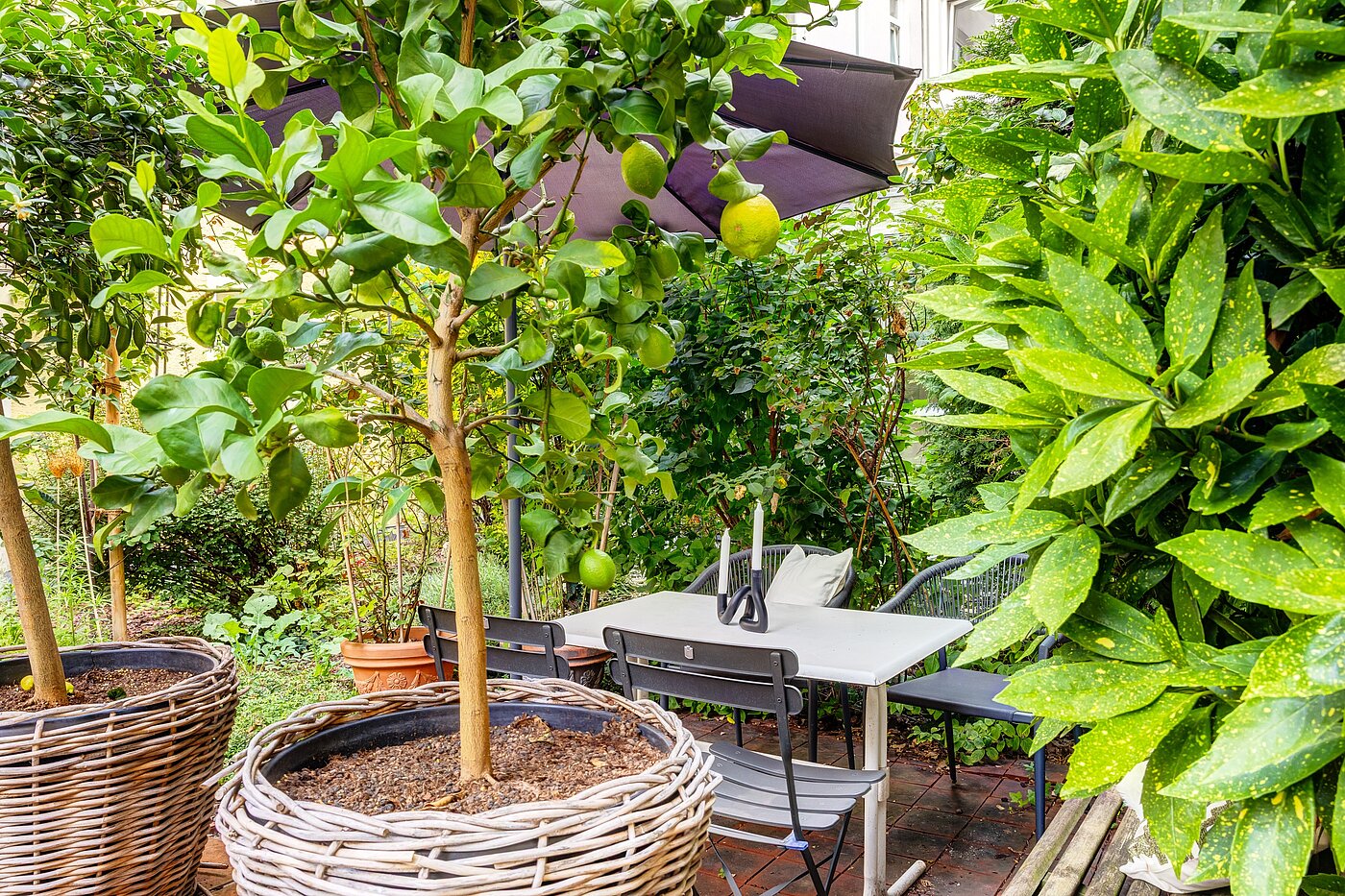 Piso en planta baja de 1 habitación | München-Haidhausen | 70228 | ...Südfrüchten und...