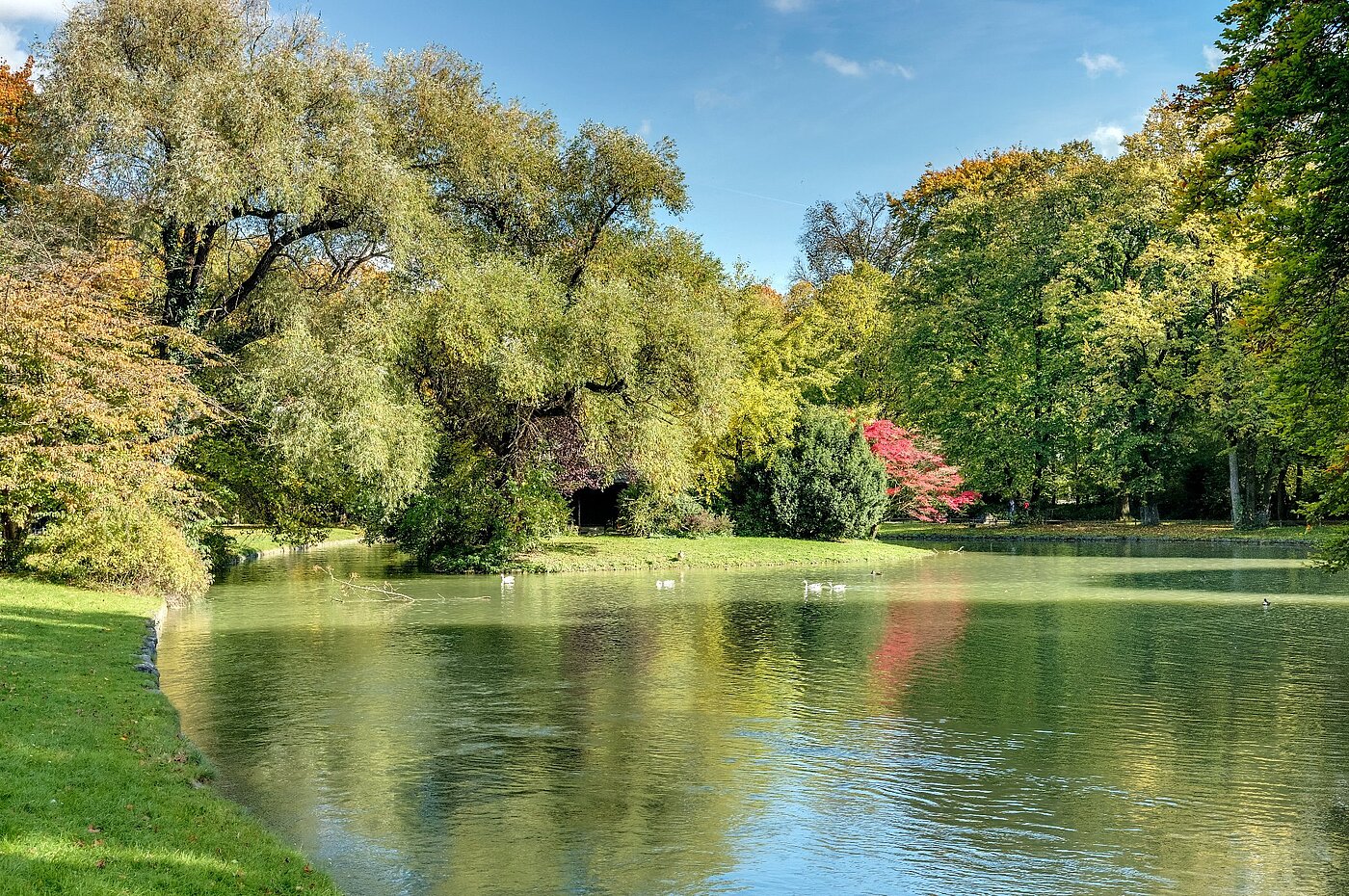 Entresuelo  de 2 habitaciones | München-Lehel | 2012ML1 | Herbst im Englischen Garten