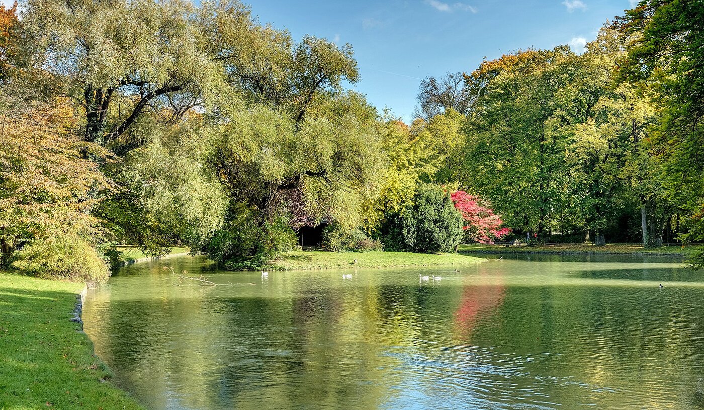 Entresuelo  de 2 habitaciones | München-Lehel | 2012ML1 | Herbst im Englischen Garten