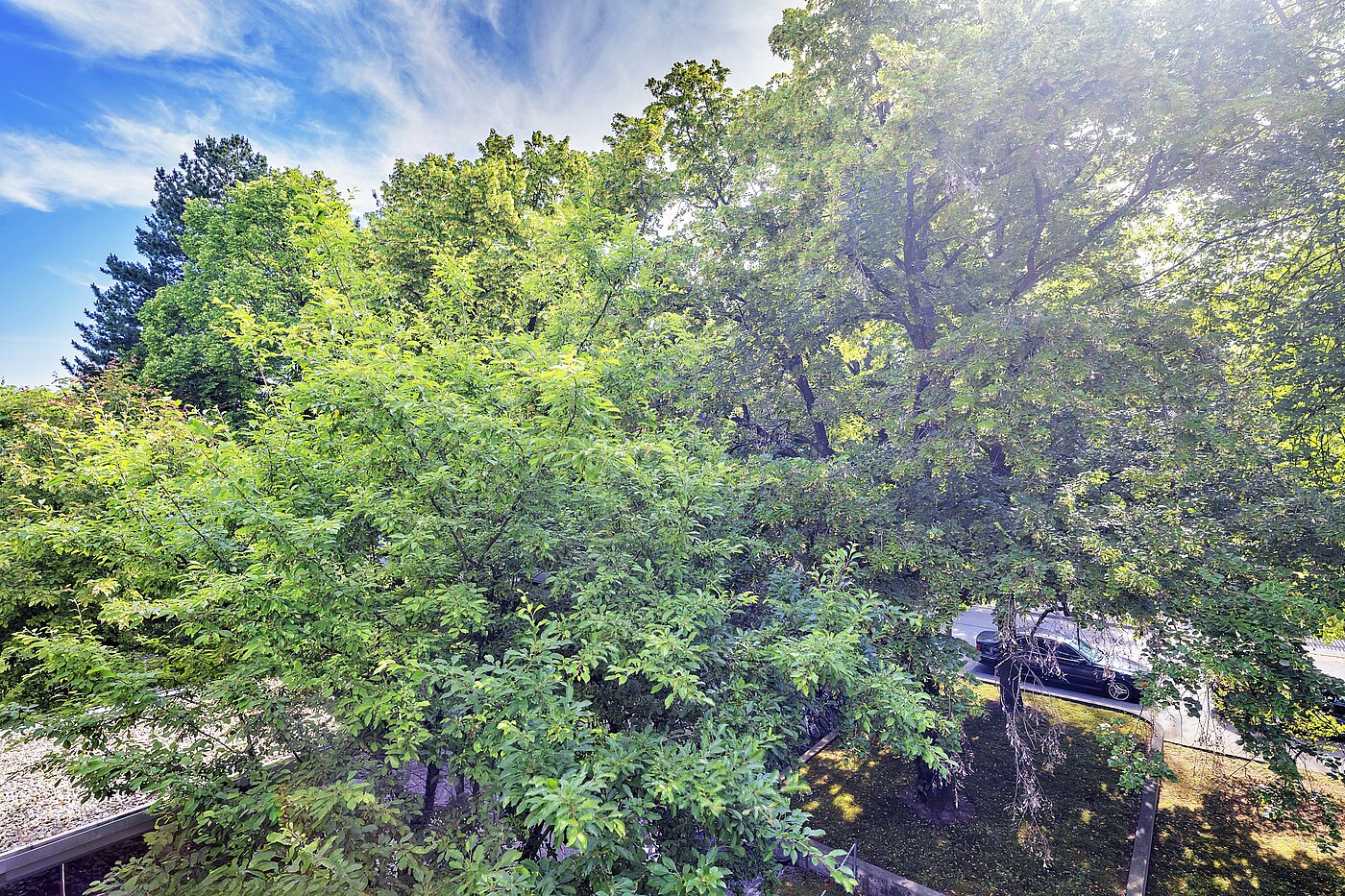 Apartamento de 3.5 habitaciones | München-Bogenhausen | 70267 | ...Ausblick ins Grüne