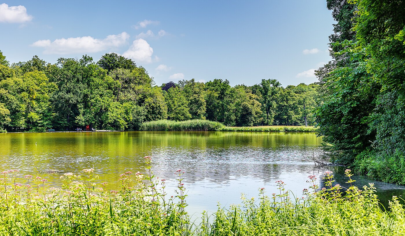 Apartamento de 2.5 habitaciones | München-Obermenzing | 700191 | Badenburger See