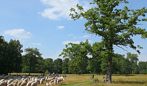 Penthouse de 3.5 habitaciones | München-Oberföhring | 70237 | Englischer Garten