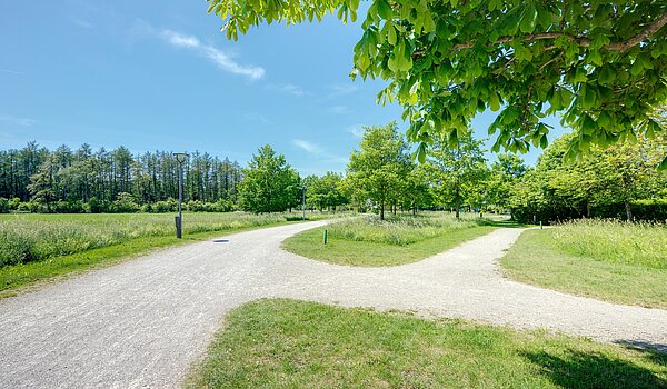 Adosado esquinero de 6 habitaciones | München-Trudering | 70191 | ...Impressionen