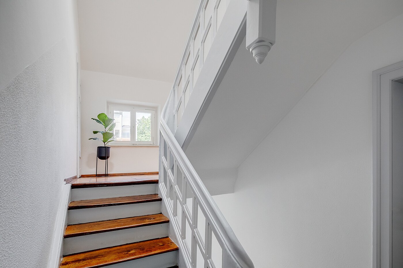 Apartamento de 2 habitaciones | München-Isarvorstadt | 70089 | Charmantes Treppenhaus