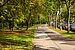 Apartment de 1 habitación | München-Solln | 70499 | Ruhige Umgebung... | Thumbnail