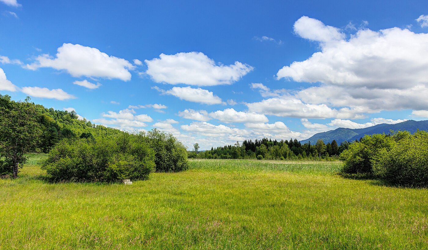 Adosado esquinero de 5 habitaciones | Penzberg | 701121 | ...Naturschutzgebiet