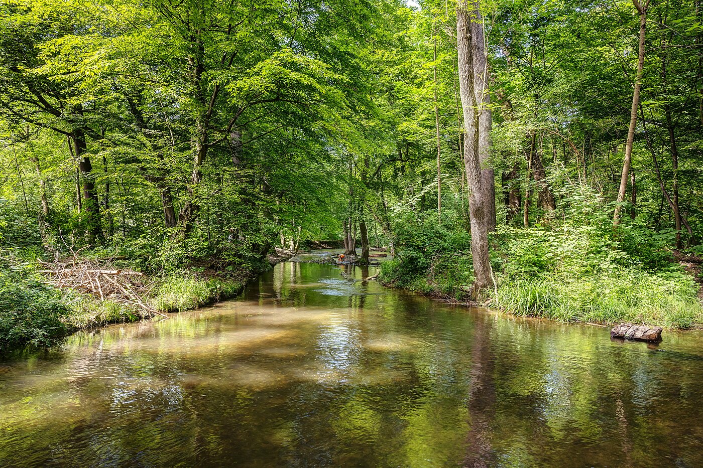 Apartamento de 2 habitaciones | München-Pasing | 70141 | Grünflächen fußläufig