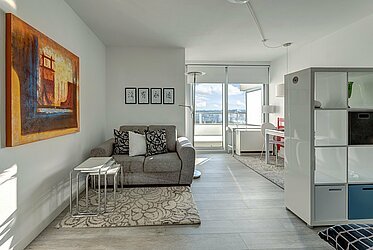 Schwanthalerhöhe: Apartamento de 1 habitación con vistas impresionantes