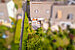 Adosado esquinero de 5.5 habitaciones | München-Trudering | 702531 | Von oben | Thumbnail