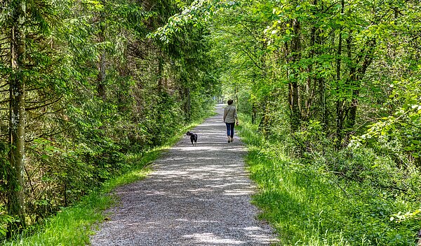 Apartamento de 6 habitaciones | 70095 | Der Erlebnisweg an der Weissach