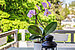 Apartamento de 3 habitaciones | München-Trudering | 70443 | Sonniger Westbalkon | Thumbnail