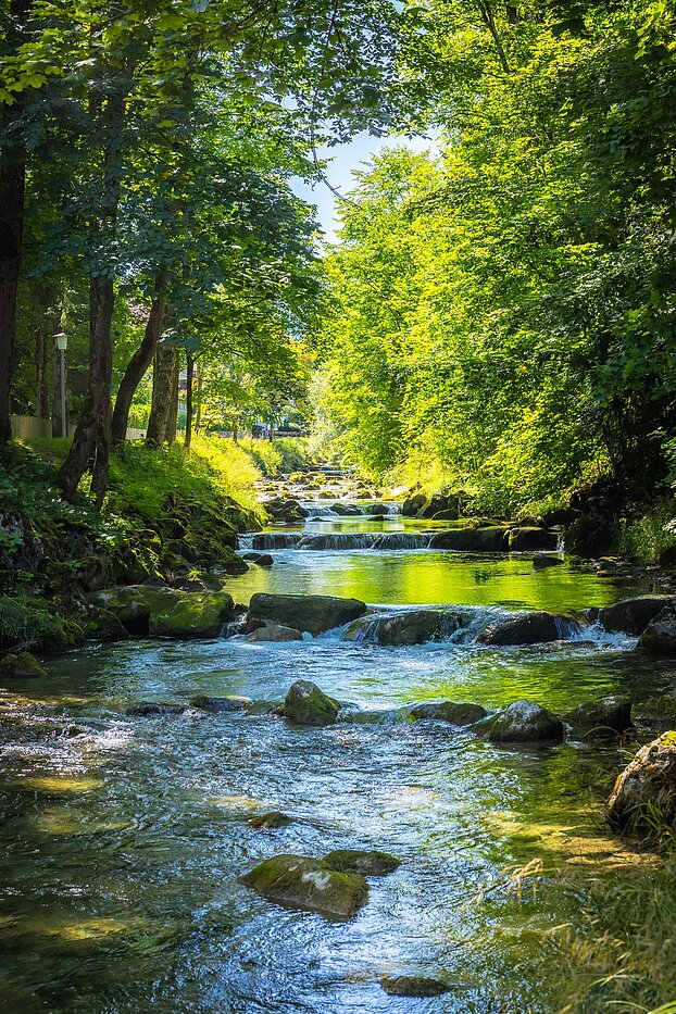 Propiedad especial de 15 habitaciones | Bad Wiessee | 701591 | Söllbach