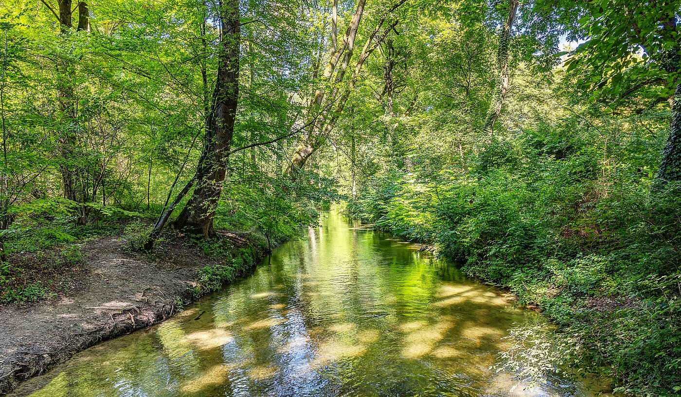 Piso dúplex  de 3 habitaciones | München-Lehel | 2209ML5 | ...Englischen Garten...