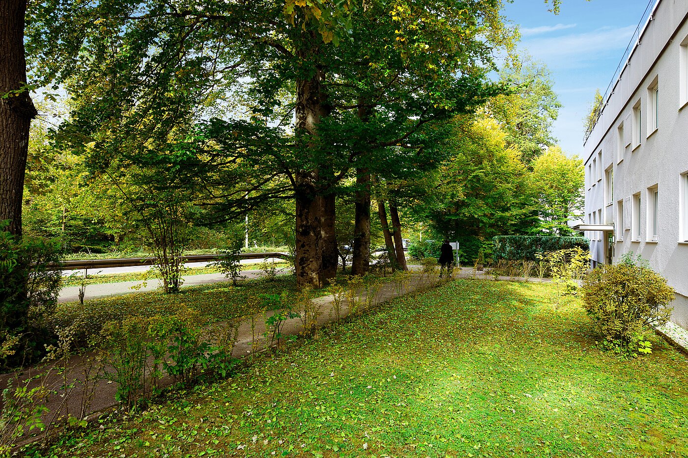 Apartamento de 1 habitación | München-Solln | 70137 | Grüne Aussichten