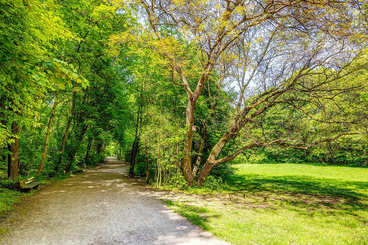 Apartamento de 2.5 habitaciones | München-Sendling | 70067 | Vom Sendlinger Park aus...