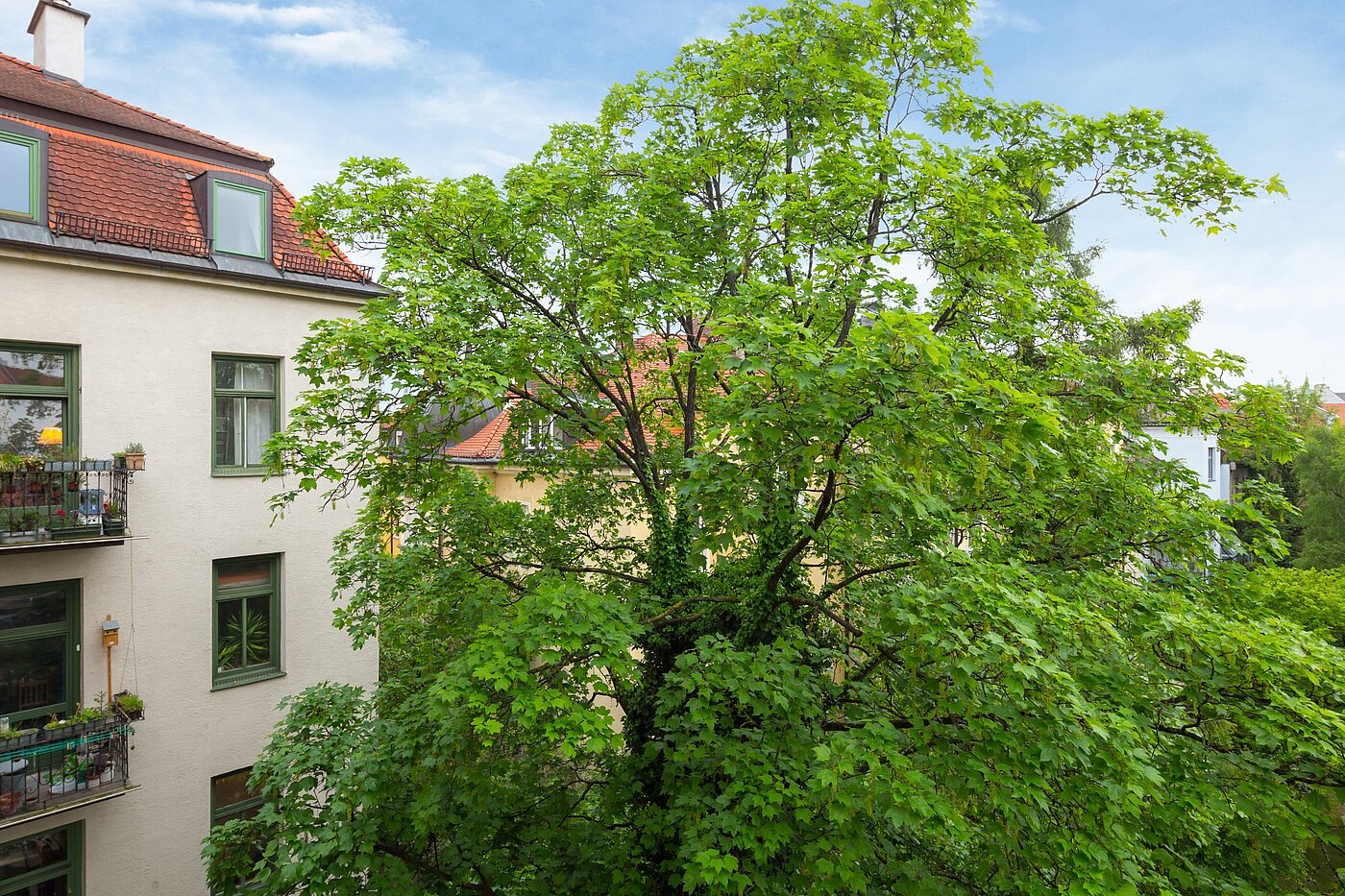 Apartamento de 1 habitación | München-Nymphenburg | 2102ML7 | Sommerliche Aussichten...