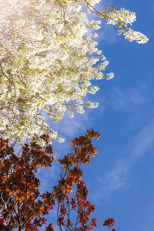 Casa adosada  de 4 habitaciones | München-Solln | 70120 | Wohlfühlen und Genießen