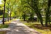 Apartment de 1 habitación | München-Solln | 70499 | ...mit viel Grün | Thumbnail