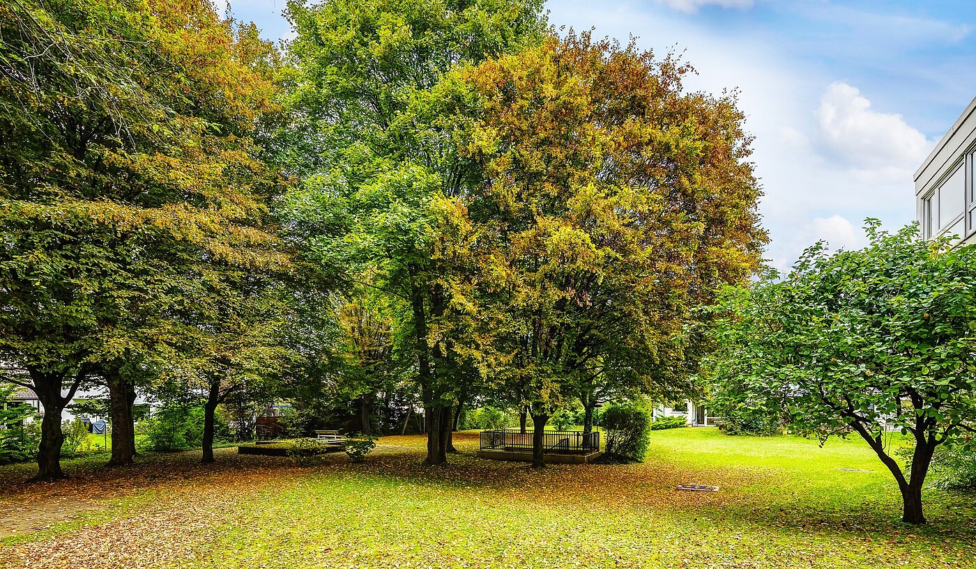 Apartamento de 1 habitación | München-Solln | 2109ML4 | Viel Grün um´s Haus...