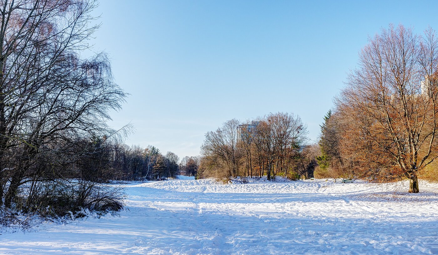 Apartamento de 3 habitaciones | München-Bogenhausen | 70085 | Grünanlage Pühnstraße