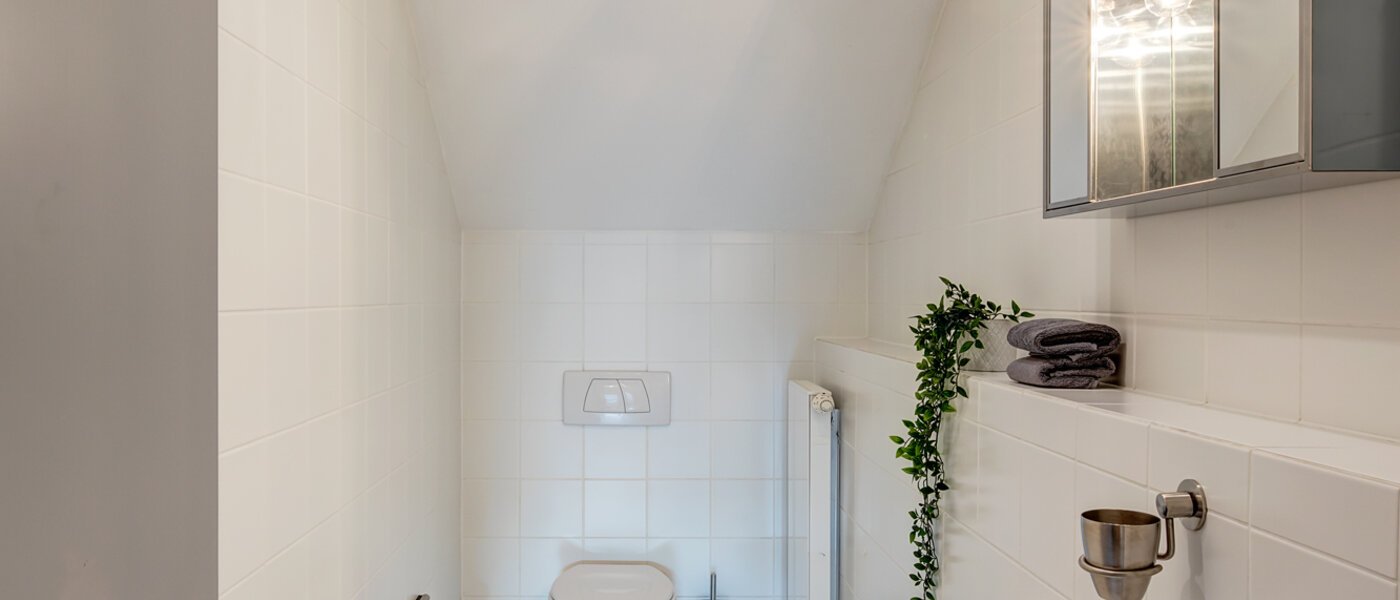 ático con terraza München Maxvorstadt - Museumsviertel 01 WC de invitados 1