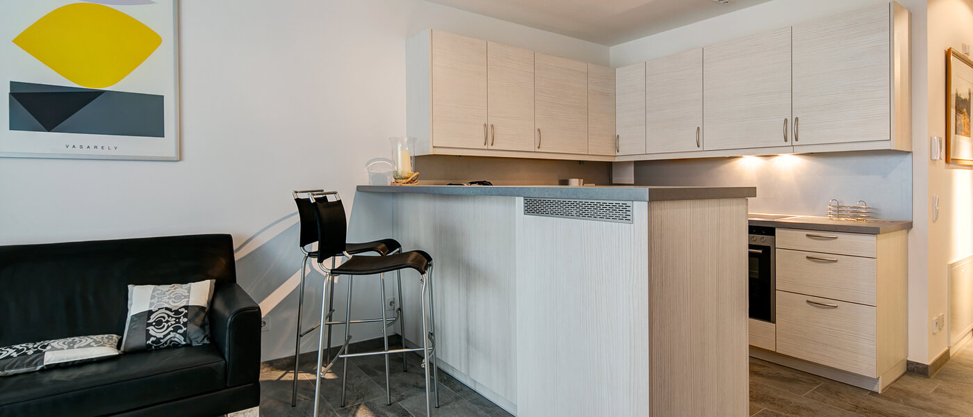 apartamento München Lehel 02 salón 10017