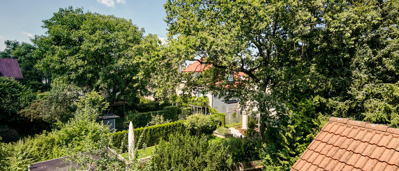 ático München Obermenzing 03 vista 10079