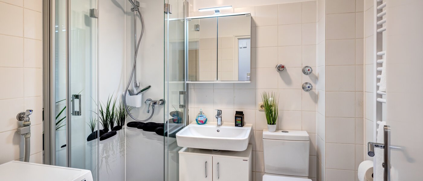 apartamento München Obergiesing 01 baño 10117