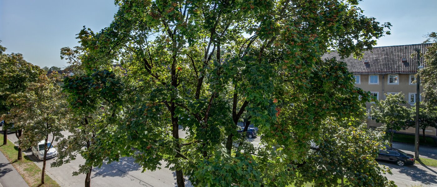 apartamento München Westpark 05 vista 10184