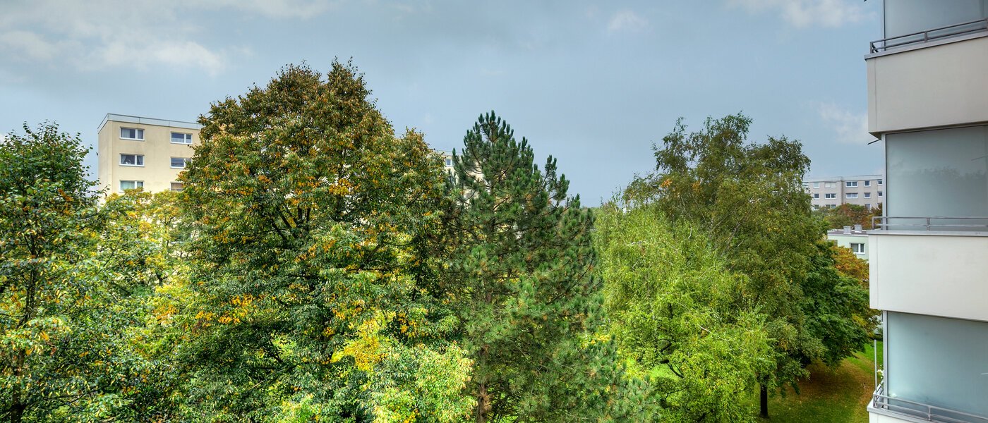 apartamento München Englschalking 02 vista 10225