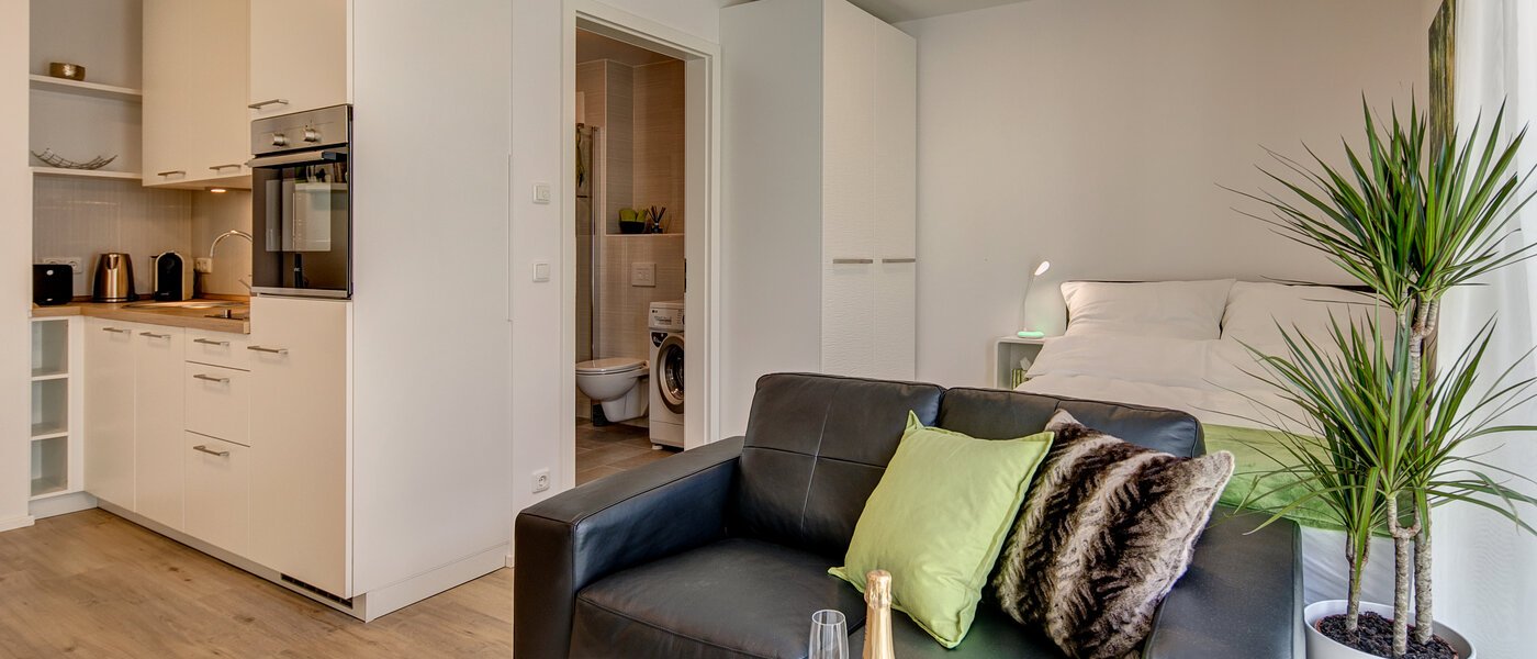 apartamento München Moosach 03 salón 10242