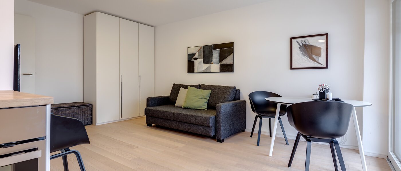 apartamento München Nymphenburg 04 salón 10315