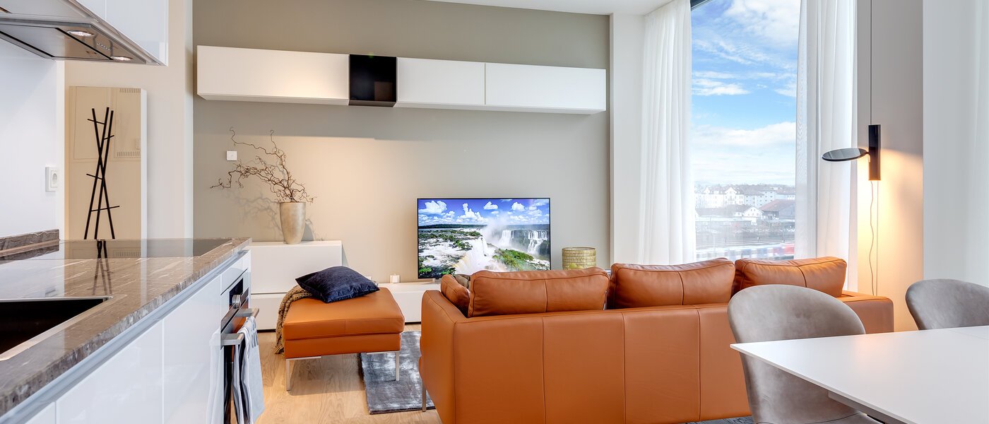 apartamento München Nymphenburg 06 salón 10338