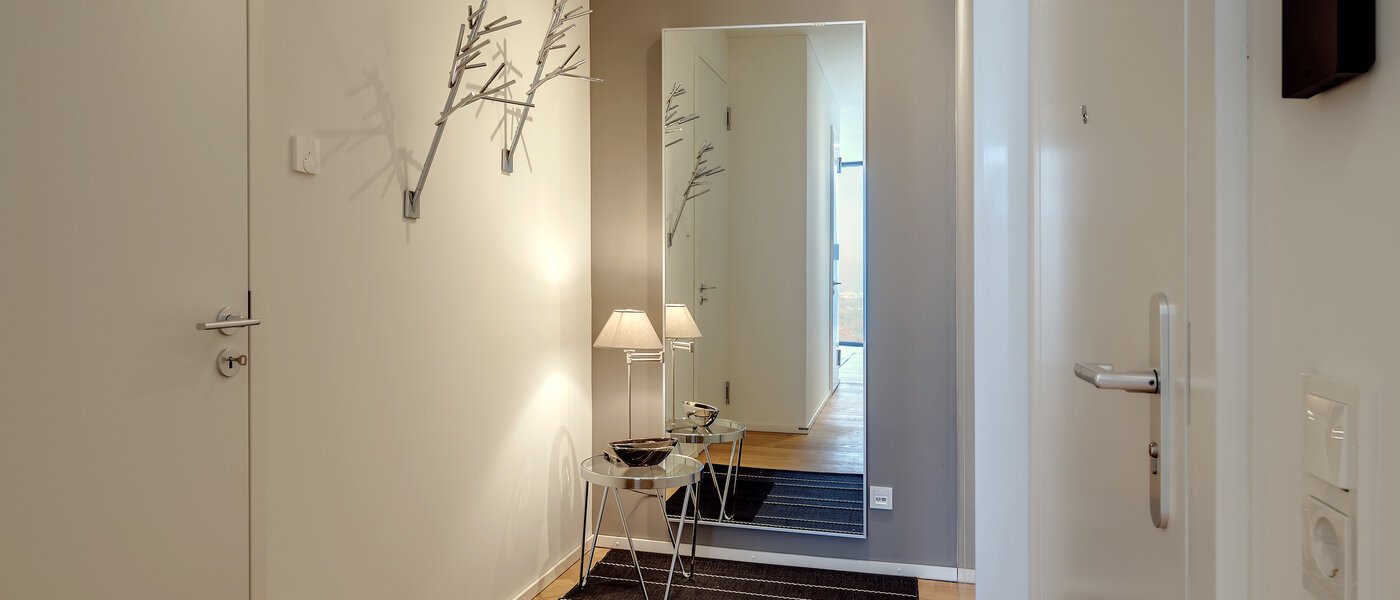 Loft München Nymphenburg 01 pasillo 10348