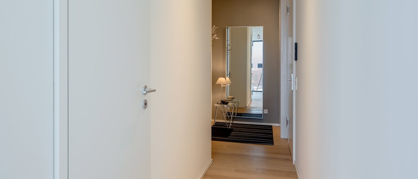 Loft München Nymphenburg 03 pasillo 10348