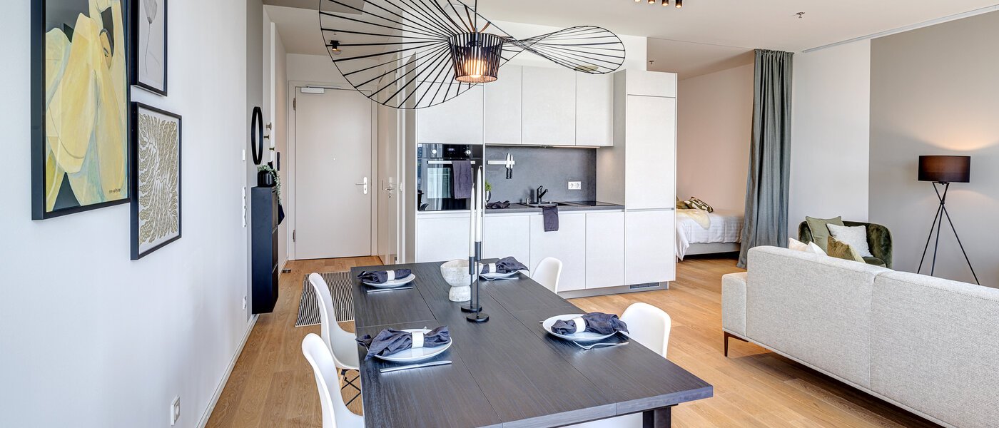 apartamento München Nymphenburg 05 zona de día  10455