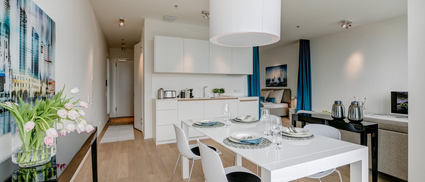 apartamento München Nymphenburg 04 salón 10533