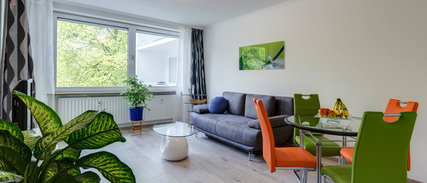 apartamento München Haidhausen 01 salón 10555