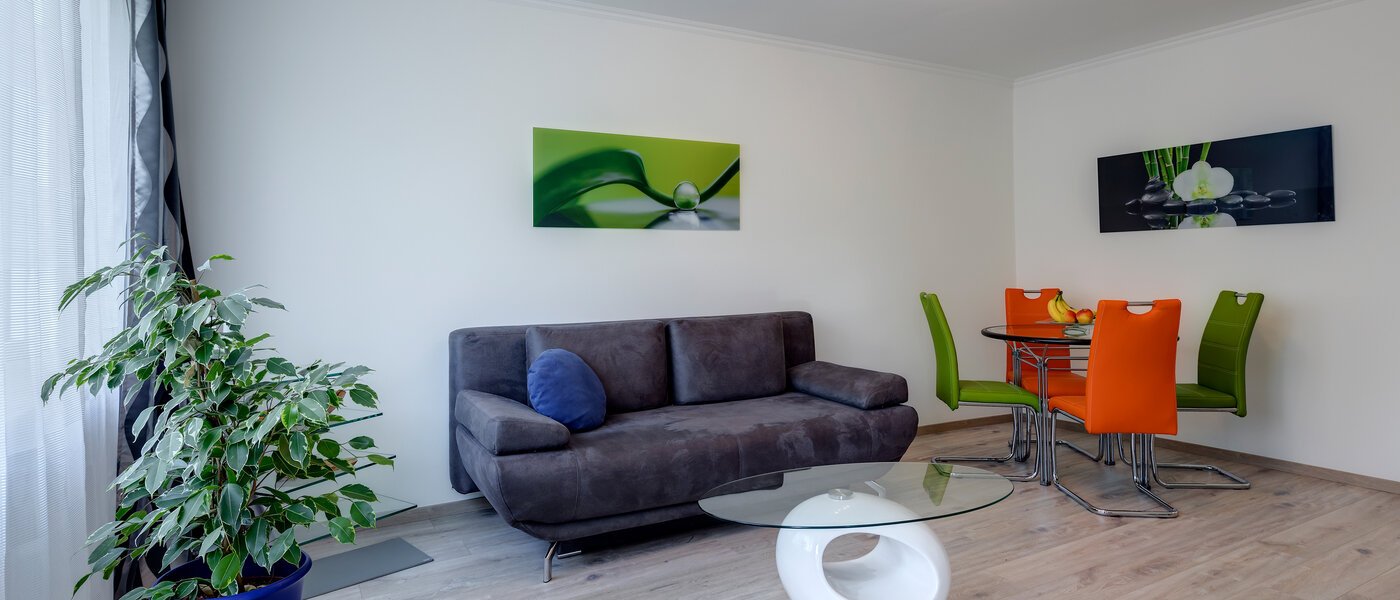 apartamento München Haidhausen 02 salón 10555