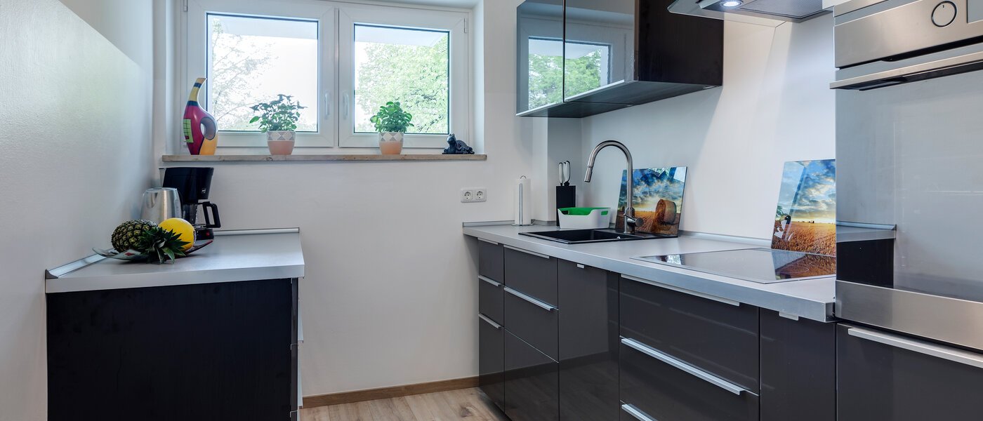 apartamento München Haidhausen 01 cocina 10555