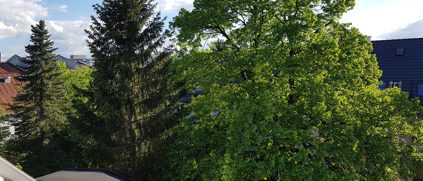 ático München Obersendling 06 vista 10566